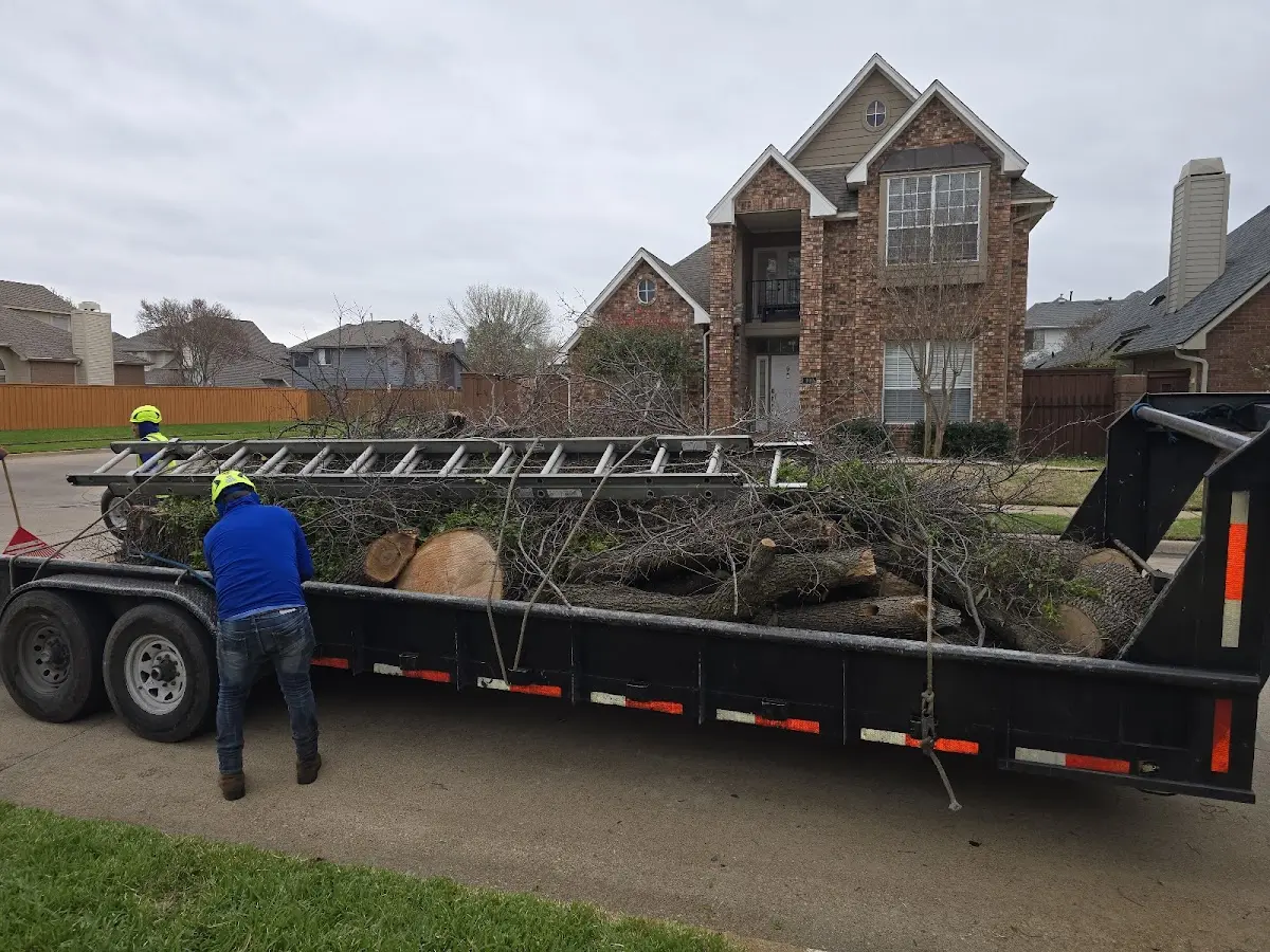 Expert Tree Fertilization with proper safety equipment in Mehama